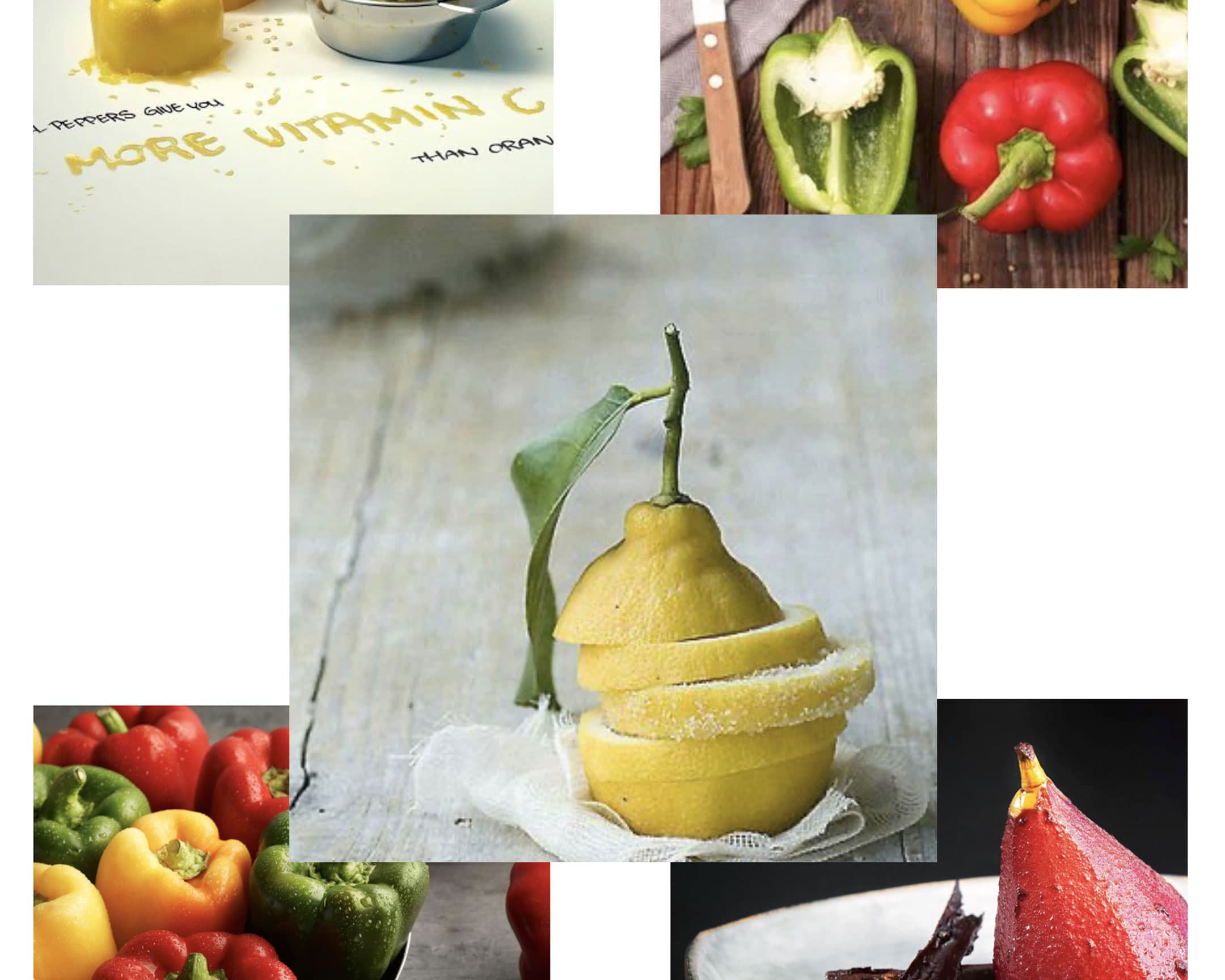 Séance de brief et découverte du projet